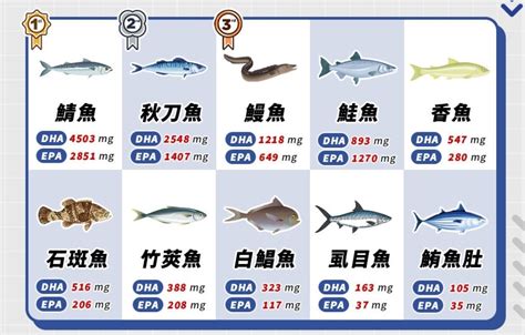 好魚排名|吃魚真會變聰明？ 營養師公布「10大營養魚類」排。